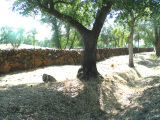 2- Ash Creek Stone Walls