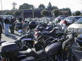 a bunch of bikes