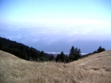 View from Mt Tam (1)