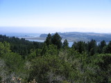 View from Mt Tam (2)